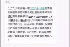 高密为什么选择专业追讨公司来处理您的债务纠纷？